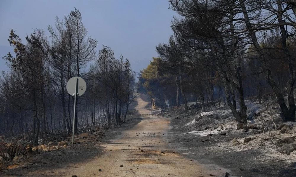 Φωτιά στα Βίλια: Στάχτες και αποκαΐδια άφησε πίσω της η πύρινη λαίλαπα